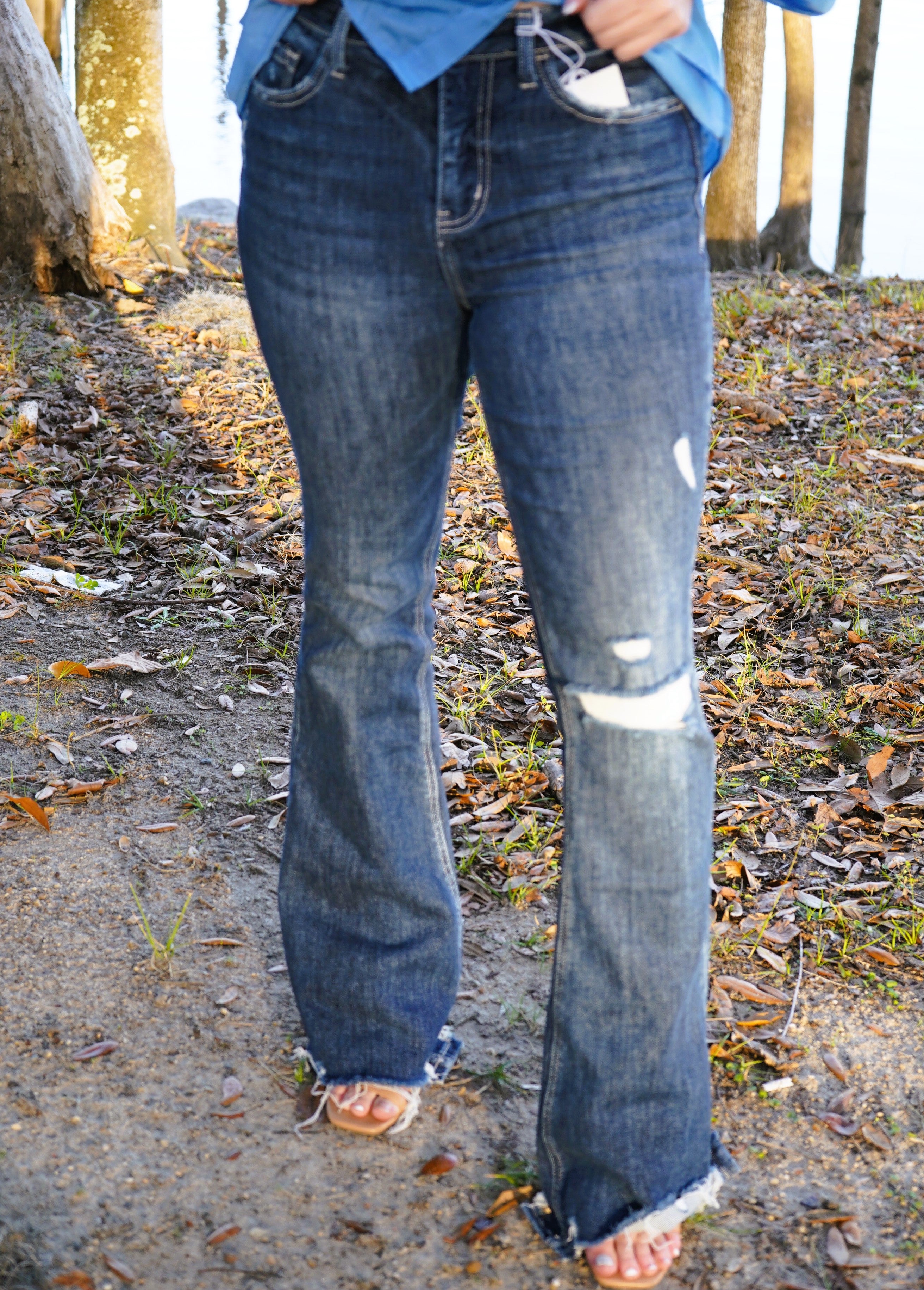 Dazzle HR Vervet Flare Jeans