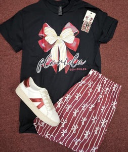 Preppy Florida Seminoles