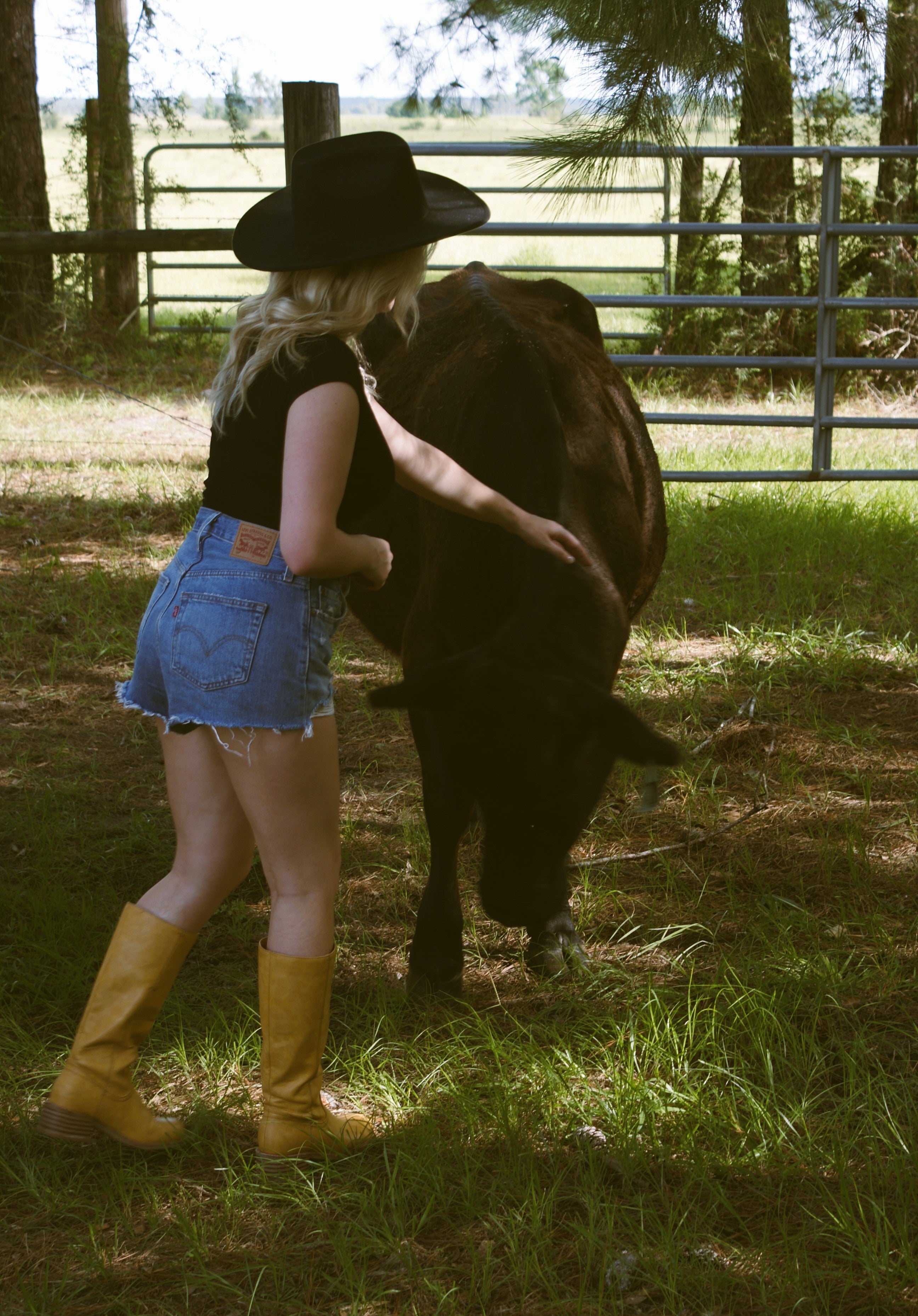 Western Life