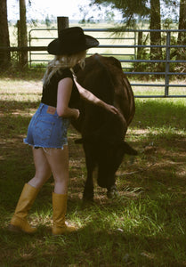 Western Life
