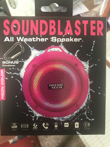 Pink SoundBlaster All Weather Speaker